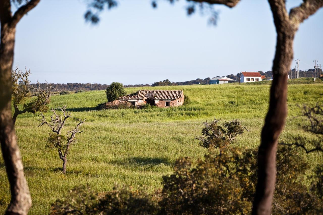 Eco Glamping Portugal Nature Lodge Сан-Луиш Экстерьер фото