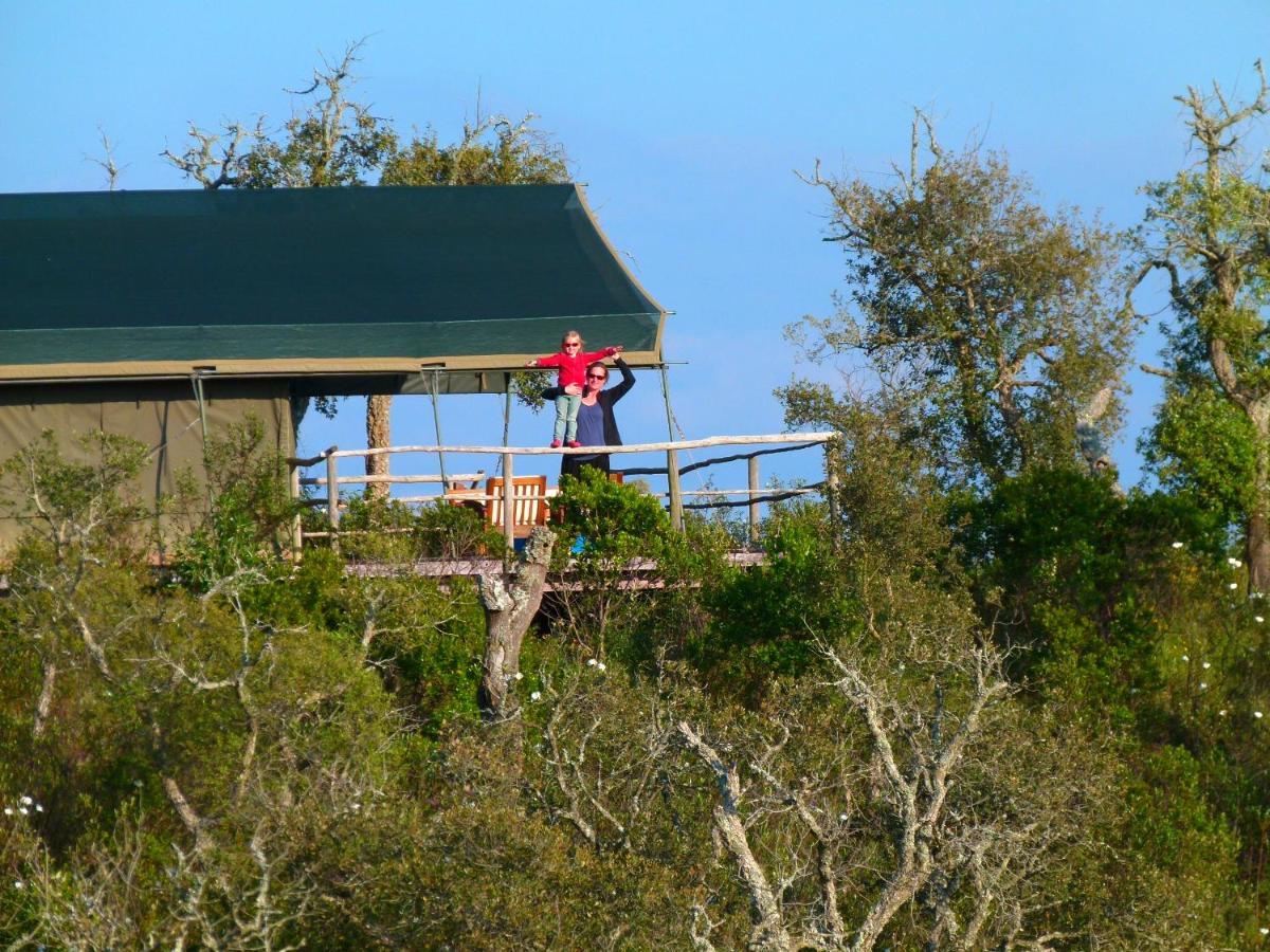 Eco Glamping Portugal Nature Lodge Сан-Луиш Экстерьер фото