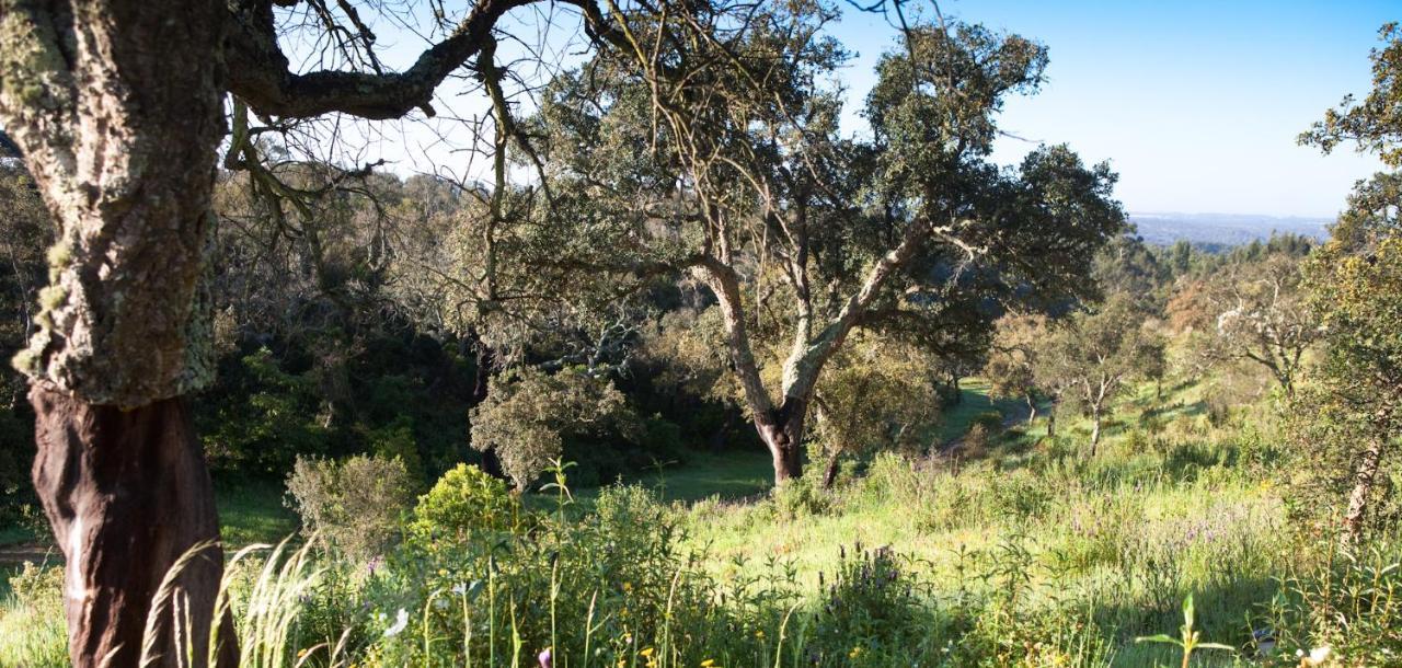 Eco Glamping Portugal Nature Lodge Сан-Луиш Экстерьер фото